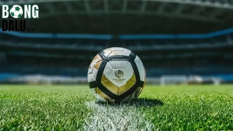 Cách tính lợi nhuận khi thắng cược kèo chẵn lẻ